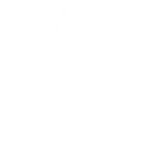 BIOS Logo