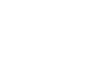 DZIF Logo