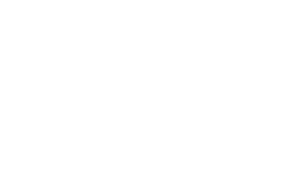 TU-Braunschweig Logo