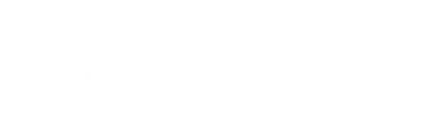 HZI Logo