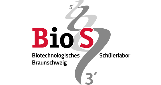BIOS Logo